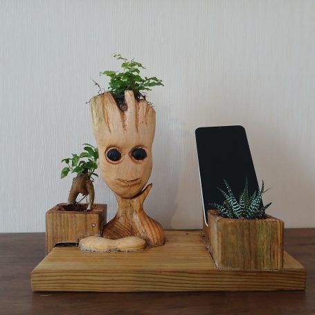 Réalisation d'un jardin intérieur support de téléphone Réalisation d'un jardin intérieur support de téléphone